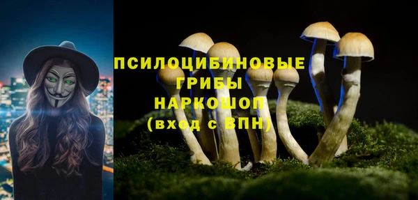 мяу мяу мука Белоозёрский