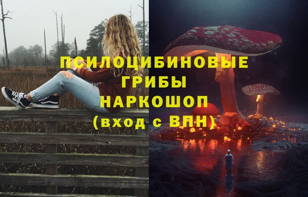 первитин Богородицк