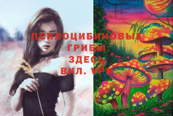 мдма Осинники