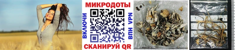 Псилоцибиновые грибы прущие грибы  Богородск 